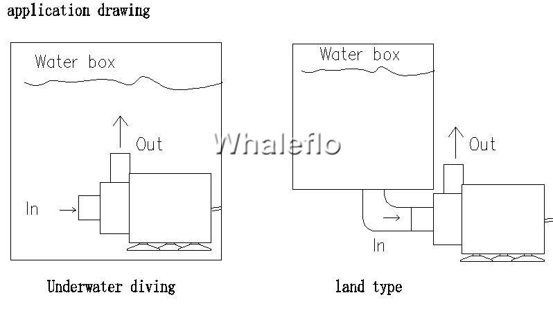 Disegno dell'applicazione della micropompa DC Whaleflo