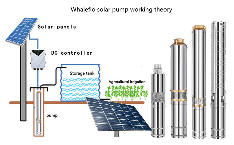Nuova pompa solare Whaleflo con controller MPPT
