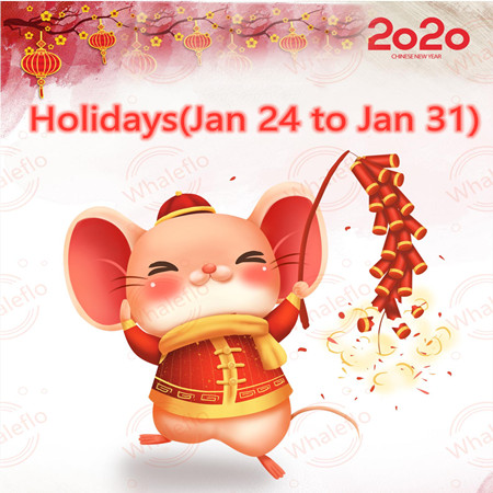 2020 Whaleflo Capodanno lunare vacanze (2020.01-24-2020-01-31)
